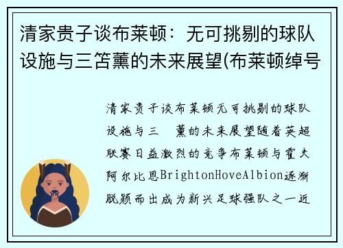 清家贵子谈布莱顿：无可挑剔的球队设施与三笘薰的未来展望(布莱顿绰号)