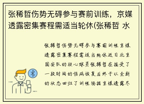 张稀哲伤势无碍参与赛前训练，京媒透露密集赛程需适当轮休(张稀哲 水平)